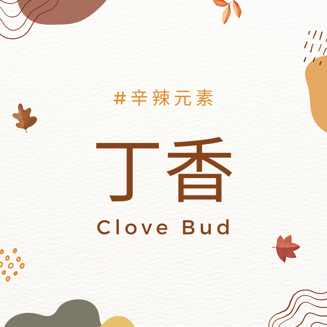 丁香 Clove Bud