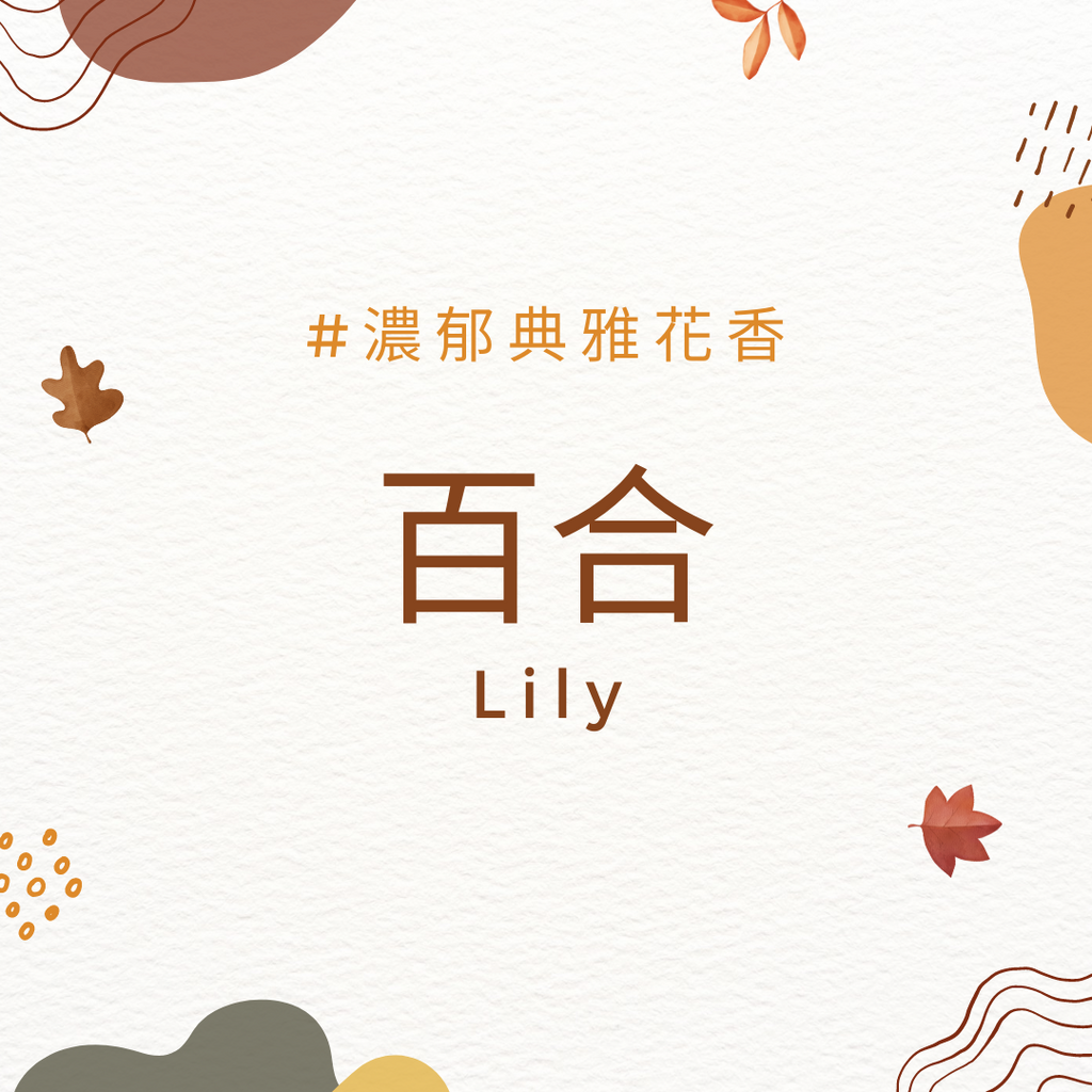 百合 Lily