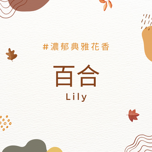 百合 Lily